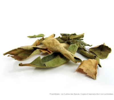 Feuilles de Combawa (ou Kaffir lime)