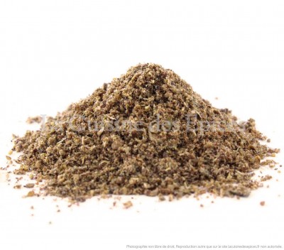 Garam Masala