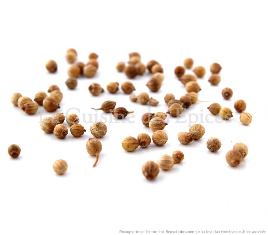 Coriandre en graines - La cuisine des épices