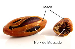 Noix de Muscade et Macis - Inde